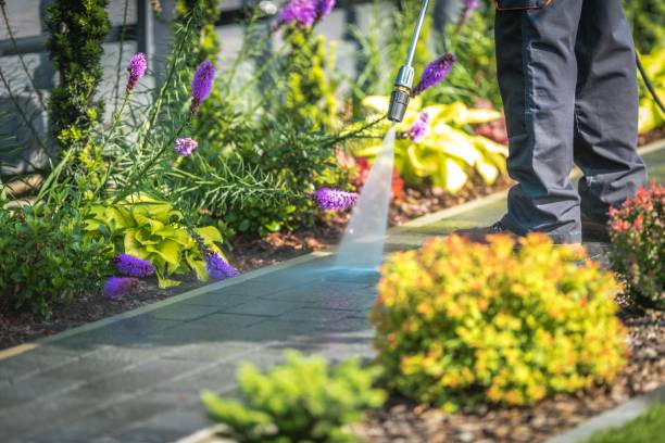 Trusted Pleasant Hills, MD Pressure Washing Experts