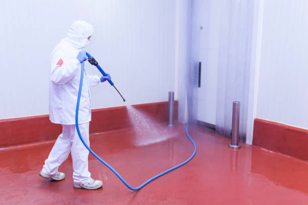 Best Warehouse Cleaning  in Pleasant Hills, MD